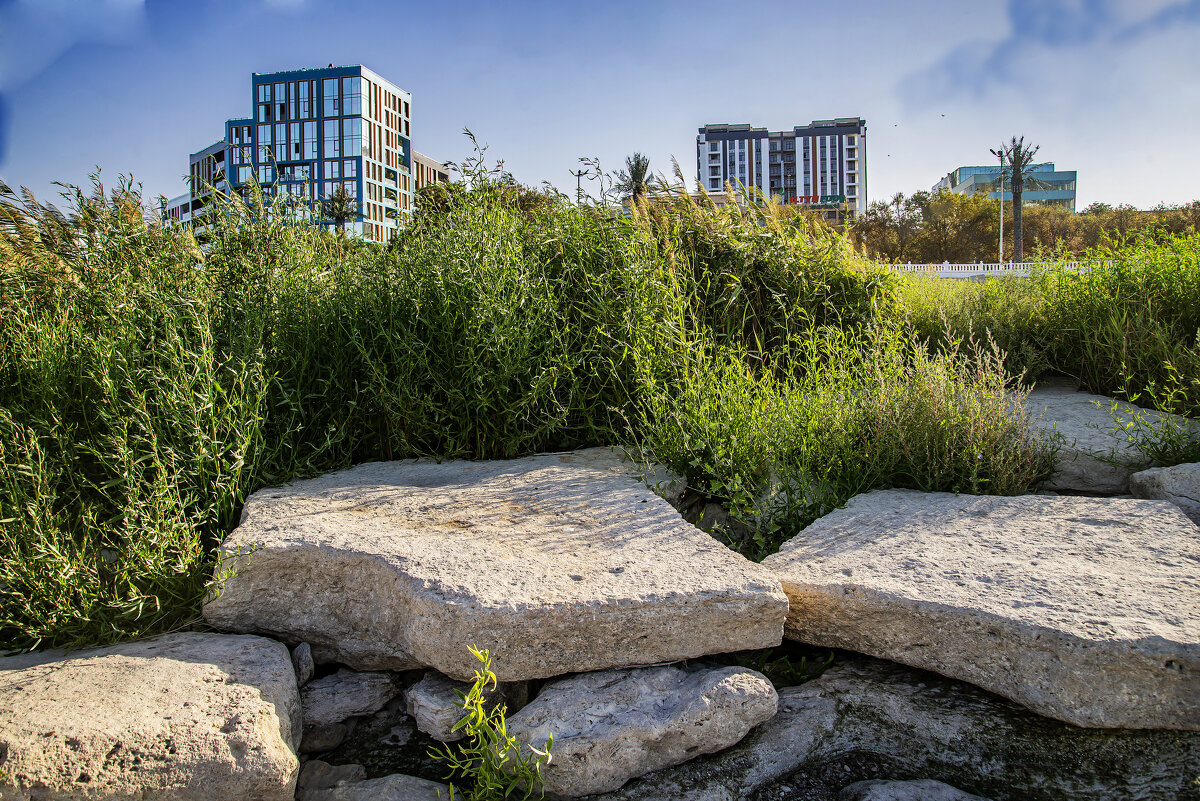 Берег - Анатолий Чикчирный