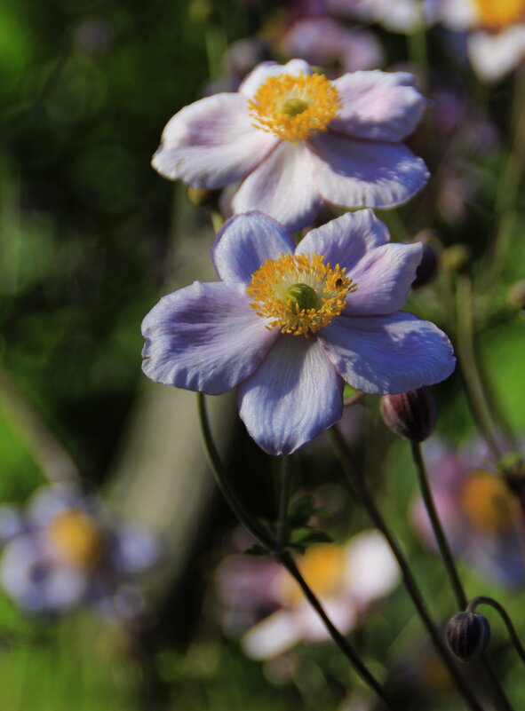 Теплый сентябрь .. - Татьян@ Ивановна