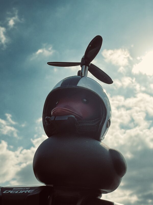 The Black Duck - Анна Камс