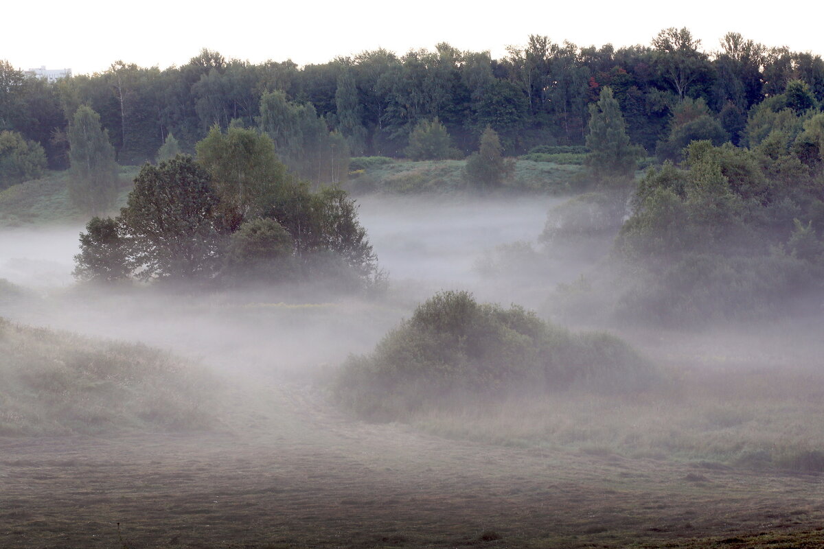 Утро 7 сентября Царицыно - Михаил Бибичков