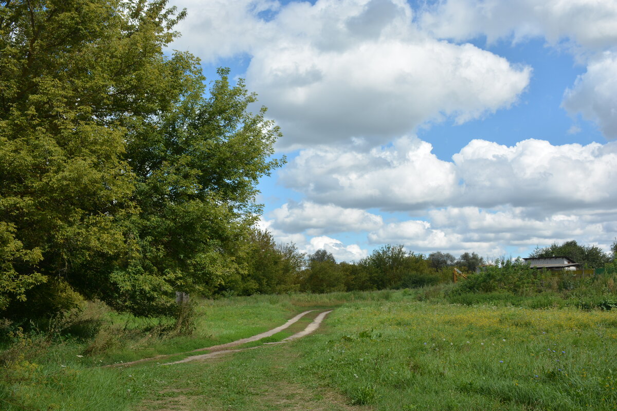 А дорога серою лентою вьётся... - Леонид Иванчук