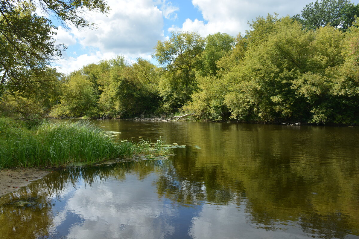Старый Хопёр - Леонид Иванчук