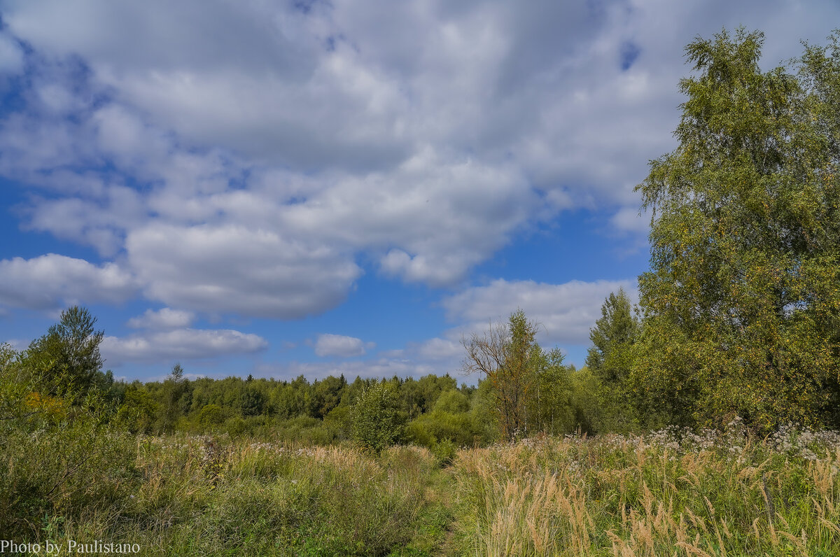 В поле... - Владимир Жданов В поле... - Владимир Жданов