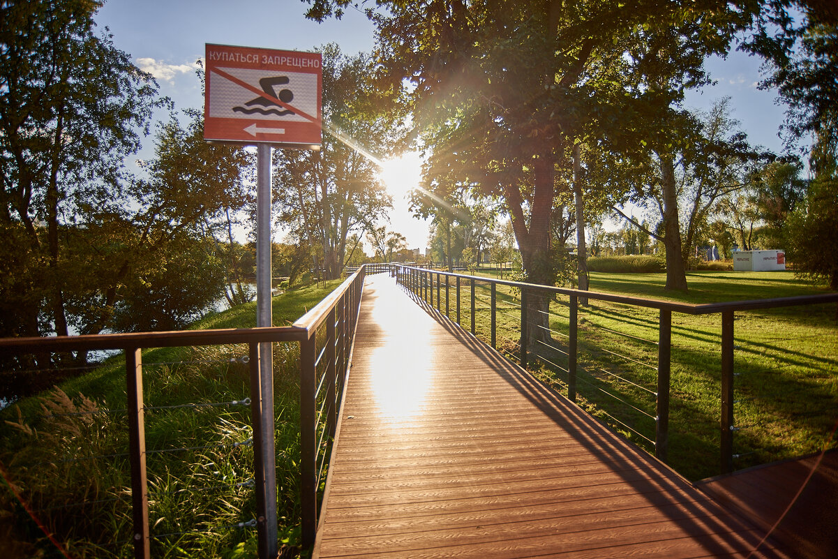 солнечный денёк - Александр Леонов