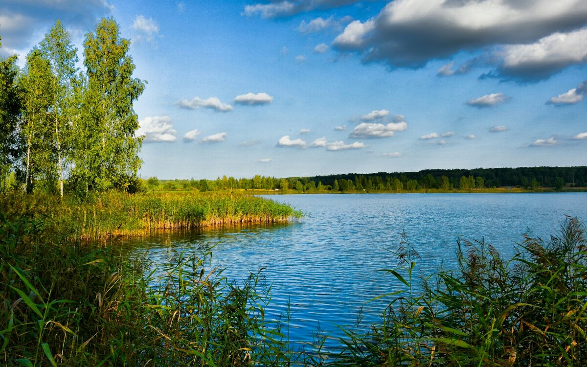 Сентябрь на Смоленщине. - Милешкин Владимир Алексеевич Сентябрь на Смоленщине. - Милешкин Владимир Алексеевич