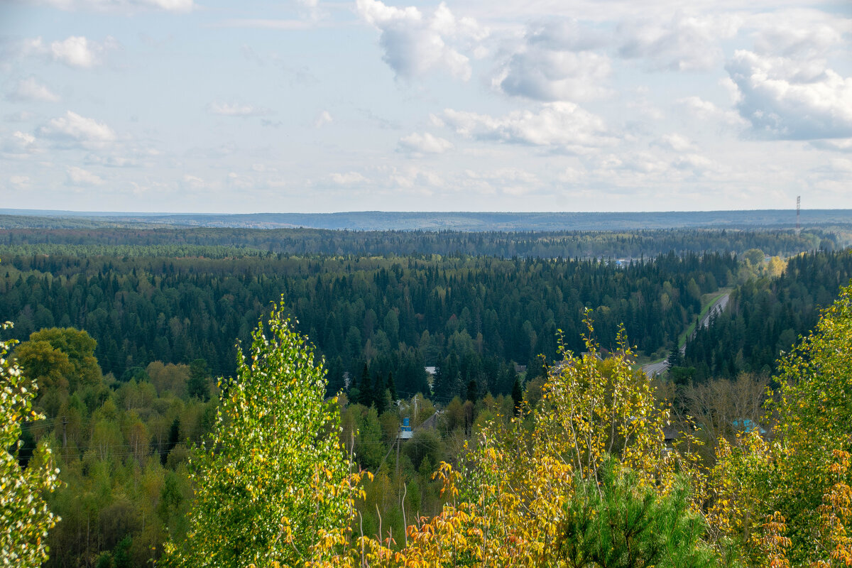 - - Владимир Мигонькин