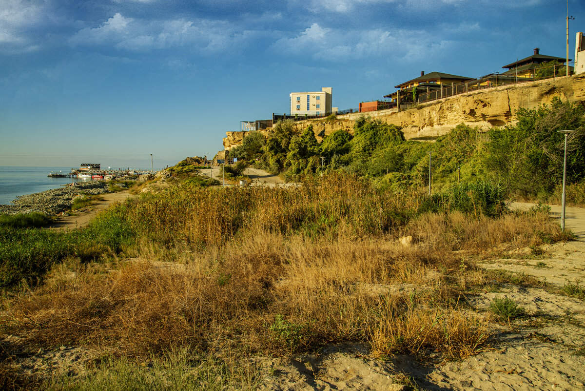 Прогулка у моря - Анатолий Чикчирный