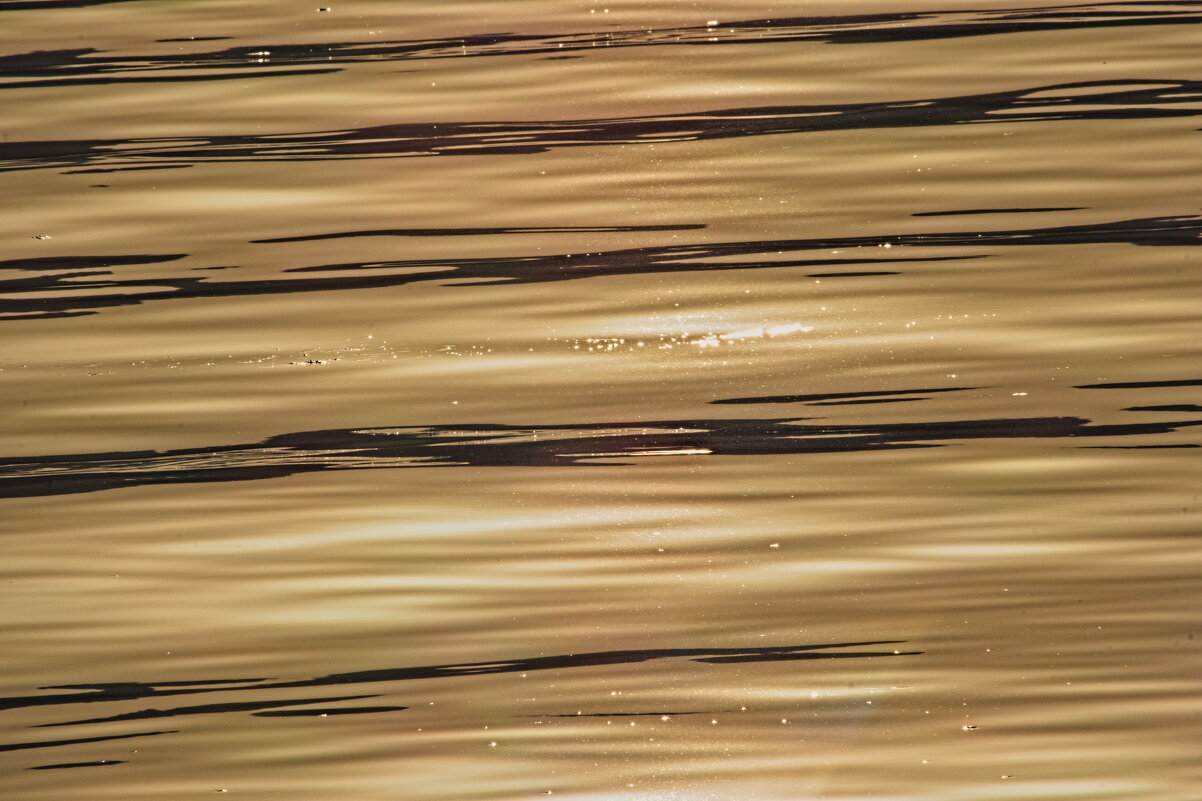 Море - Giant Tao /