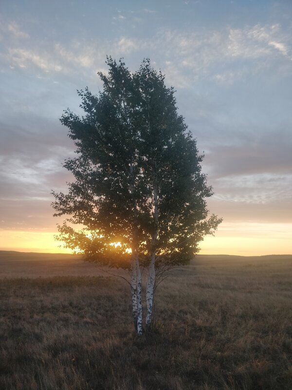 Рассвет в сопках Жосалы - Андрей Хлопонин