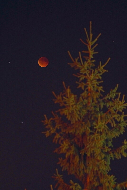 Полная фаза - Сеня Белгородский Полная фаза - Сеня Белгородский