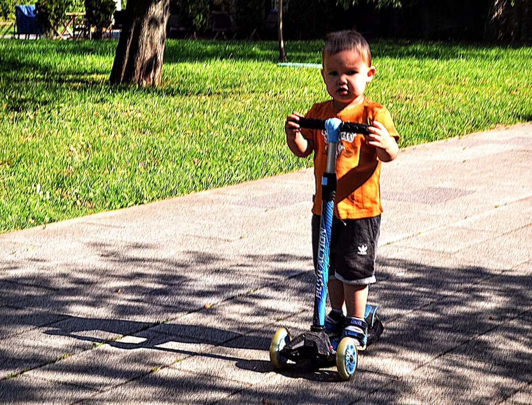 Серьёзный карапуз ! ) - Анатолий Колосов