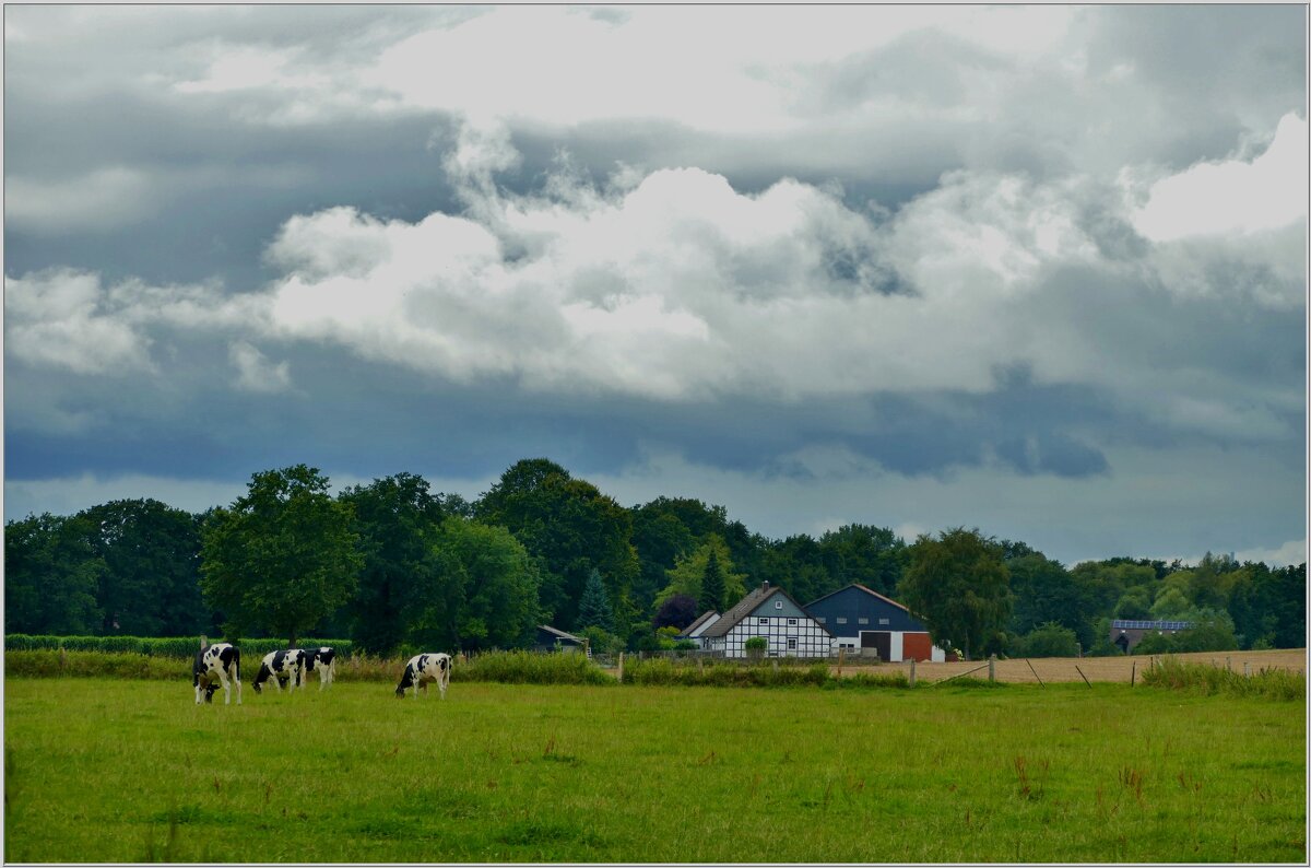 СЕЛЬСКИЙ МОТИВ... - Elvira E. 