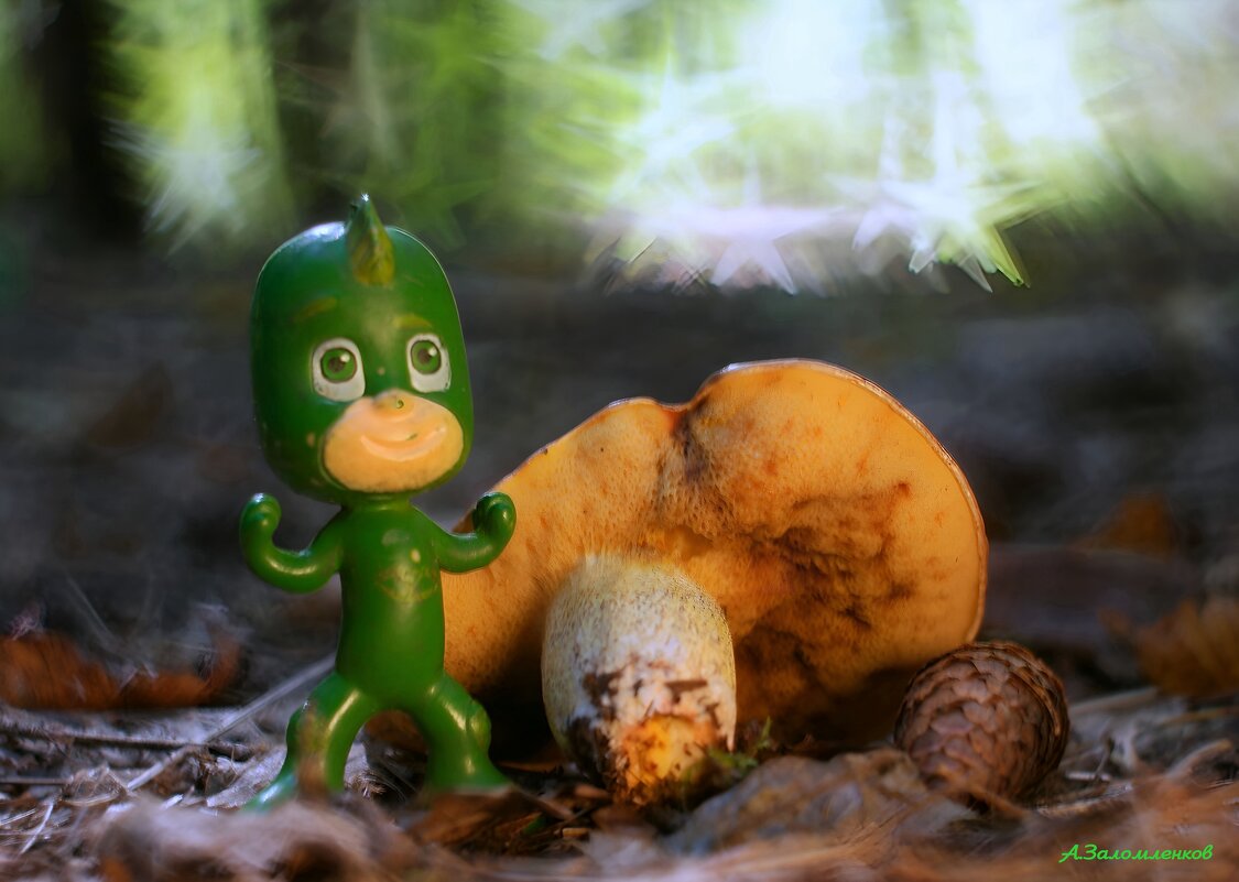 В грибах наша сила! :-) - Андрей Заломленков