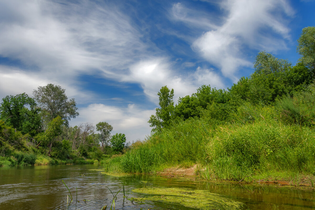 Река Медведица - Наталья Димова