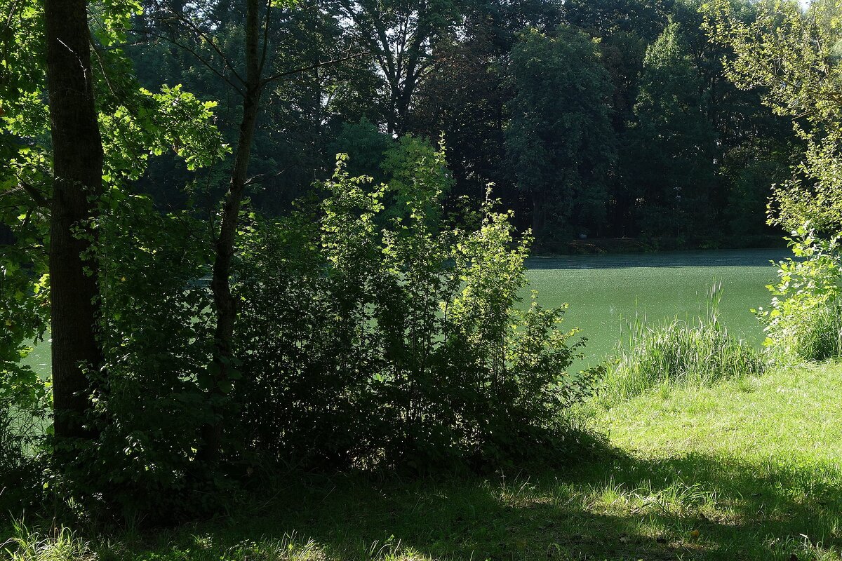 Сентябрь - Рита Симонова