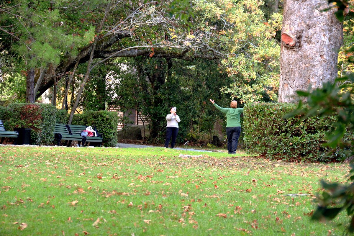 Отдых в парке - Мишель71 