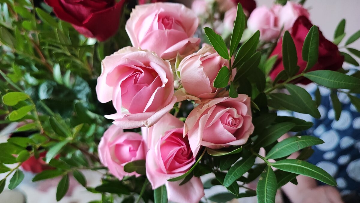 ,,, - Сергей Тимоновский