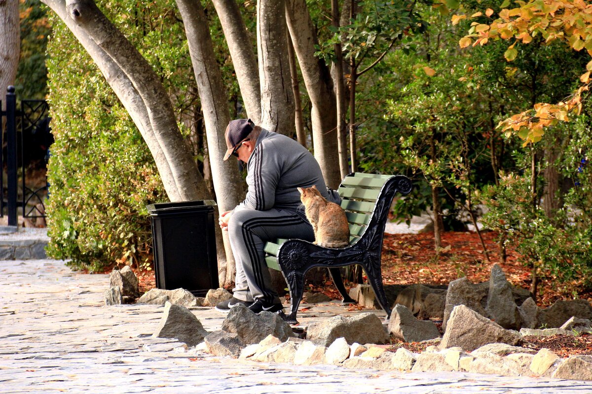 Человек и кошка - Мишель71 