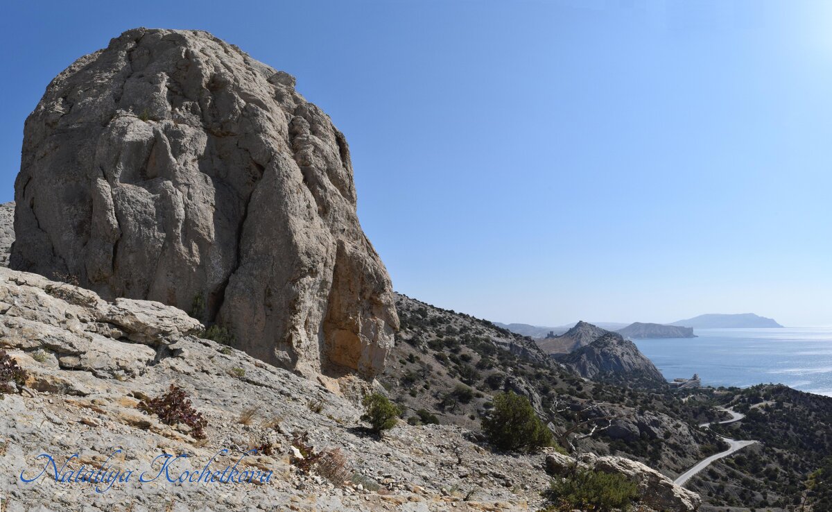 Природа Крыма - Amazing Cosmea Природа Крыма - Amazing Cosmea