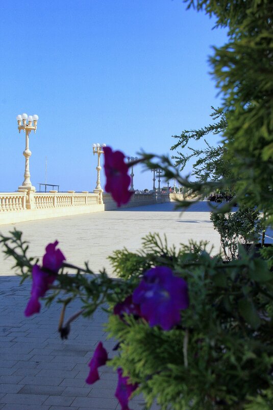 ** - Oksana Verkhoglyad