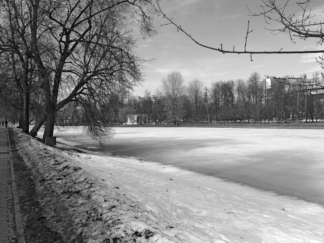 Большой Екатерининский пруд - Игорь Белоногов Большой Екатерининский пруд - Игорь Белоногов