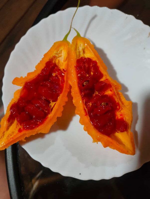 Момордика - Ирэн 