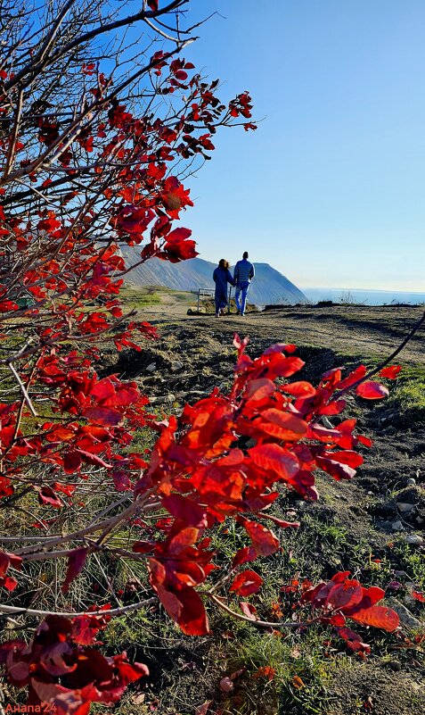 Первый день зимы - Светлана 13.06.