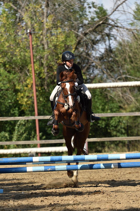 Грация и Красота! - Александр Гриднев Грация и Красота! - Александр Гриднев