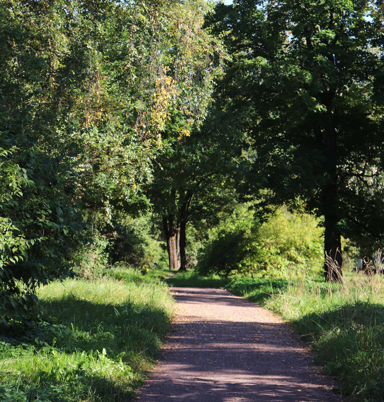 Сентябрь в Павловске - Наталья Лунева Сентябрь в Павловске - Наталья Лунева