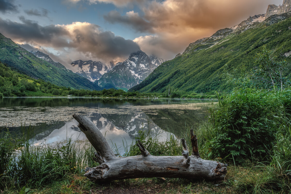 Домбай - Владимир Колесников