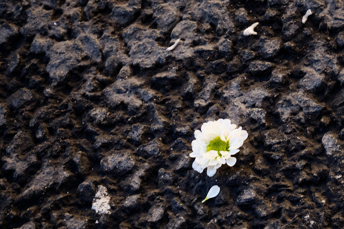 грусть - Михаил *******