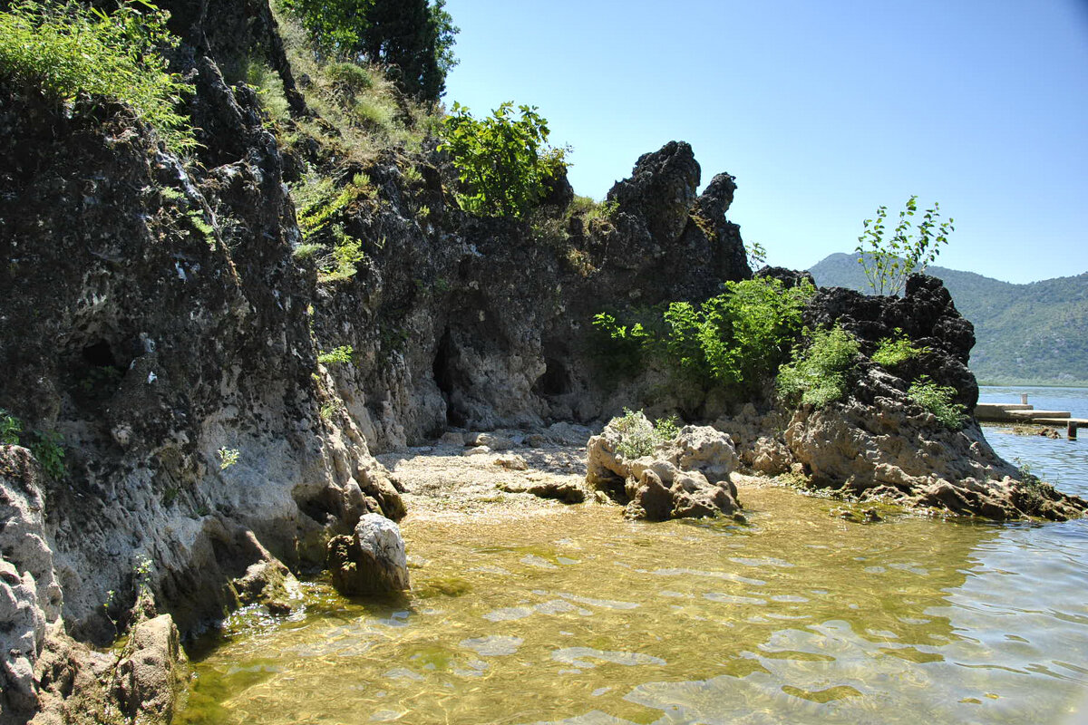 *** - Марина Виноградова