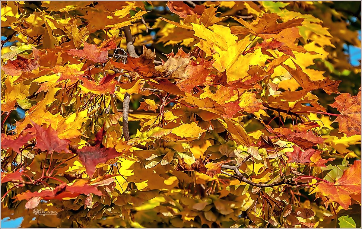 Сентябрь... - Aquarius - Сергей