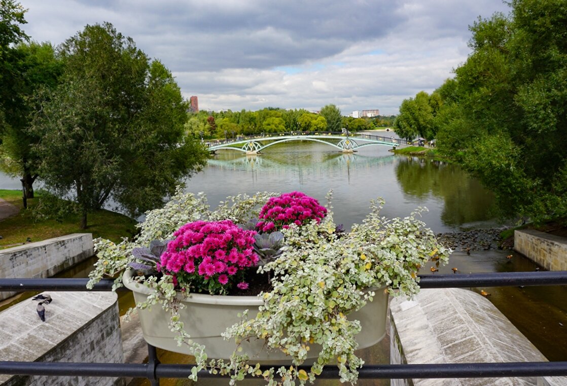 Цветы осени - Ольга 