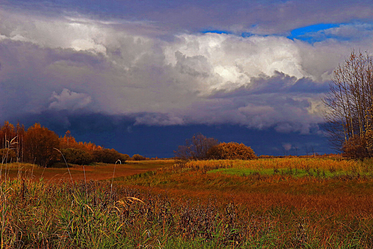 Осенняя гроза над поймой Сырого Агана! - Владимир 