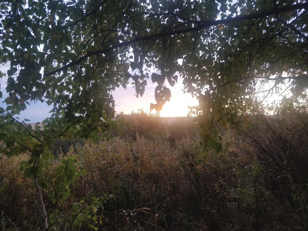 Рассвет - Андрей Хлопонин