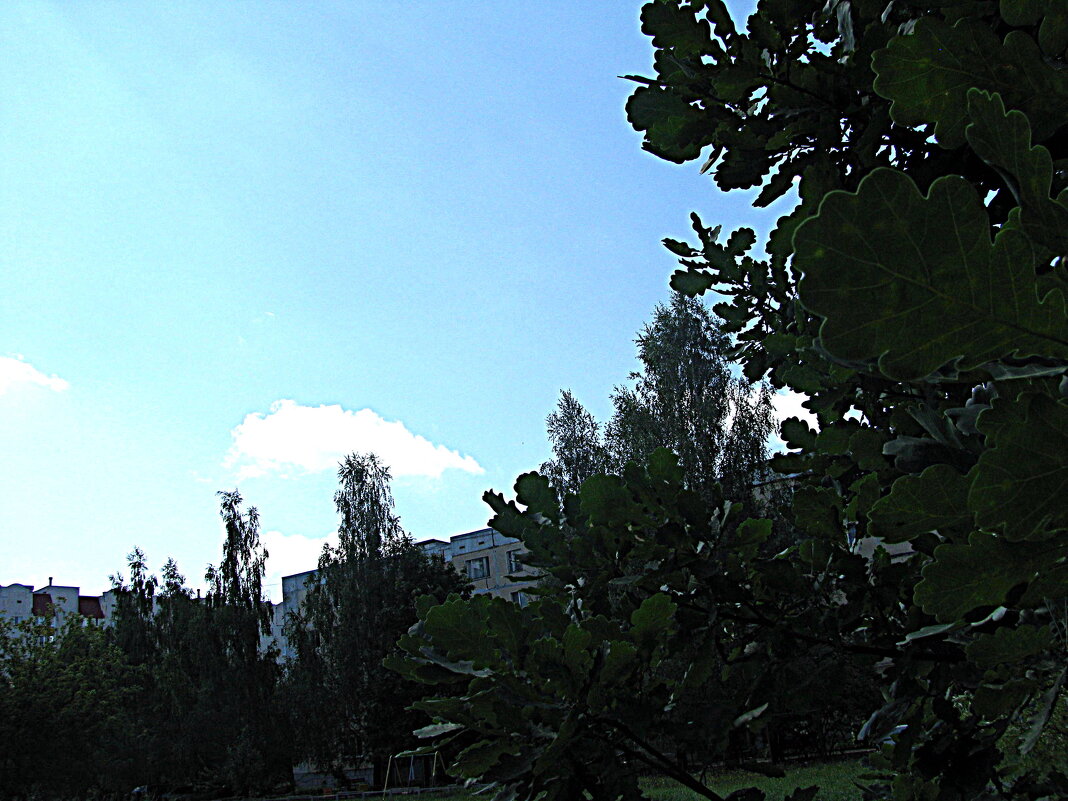 Лето. - Владимир Драгунский