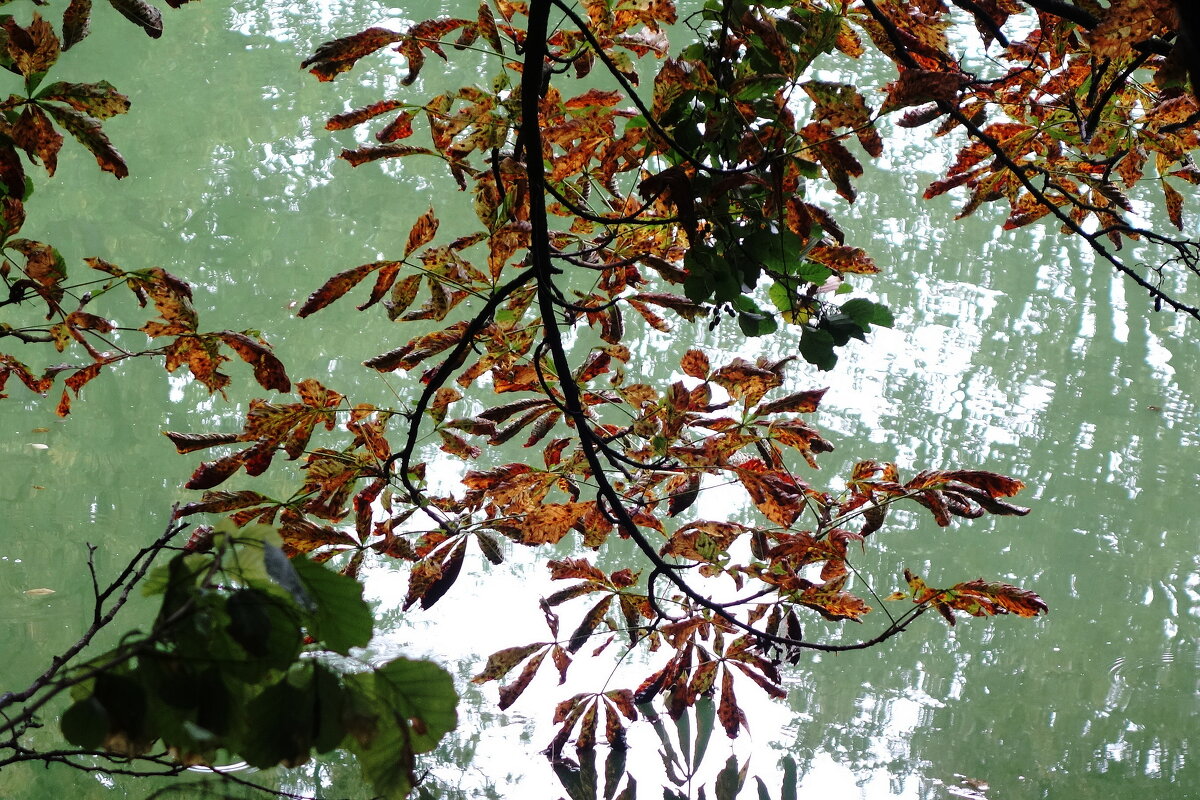 Сентябрьские зарисовки - Рита Симонова