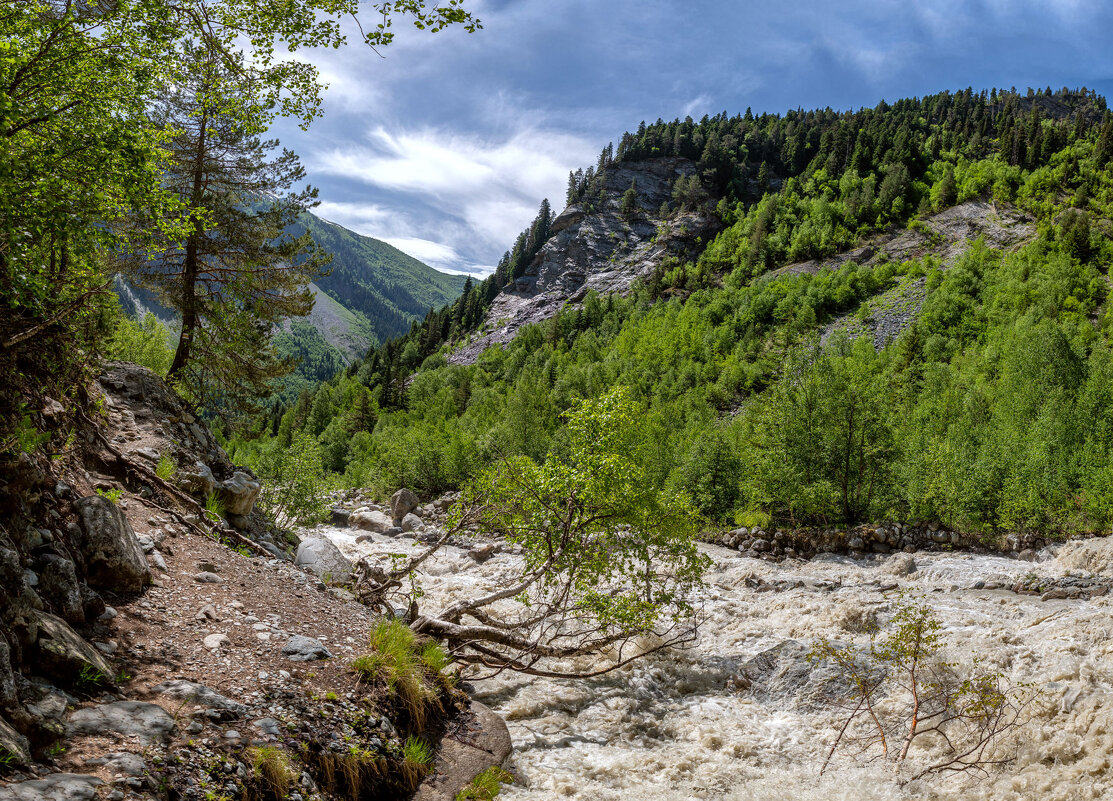 Ущелье Чалаади, дорога к леднику Чалаади, Сванетия, Грузия - Дина Евсеева