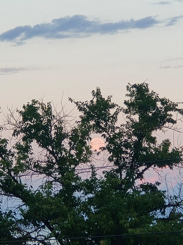 Луна ещё не исчезла - Ирэн 