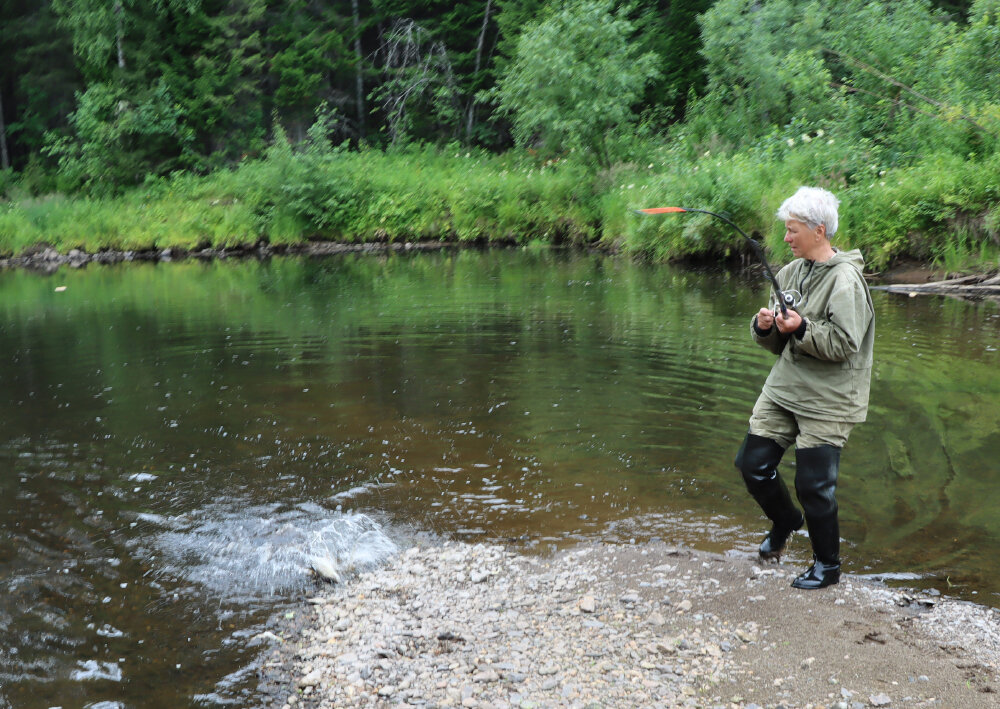 Вот и обед на берег вышел... - Галина Ильясова Вот и обед на берег вышел... - Галина Ильясова