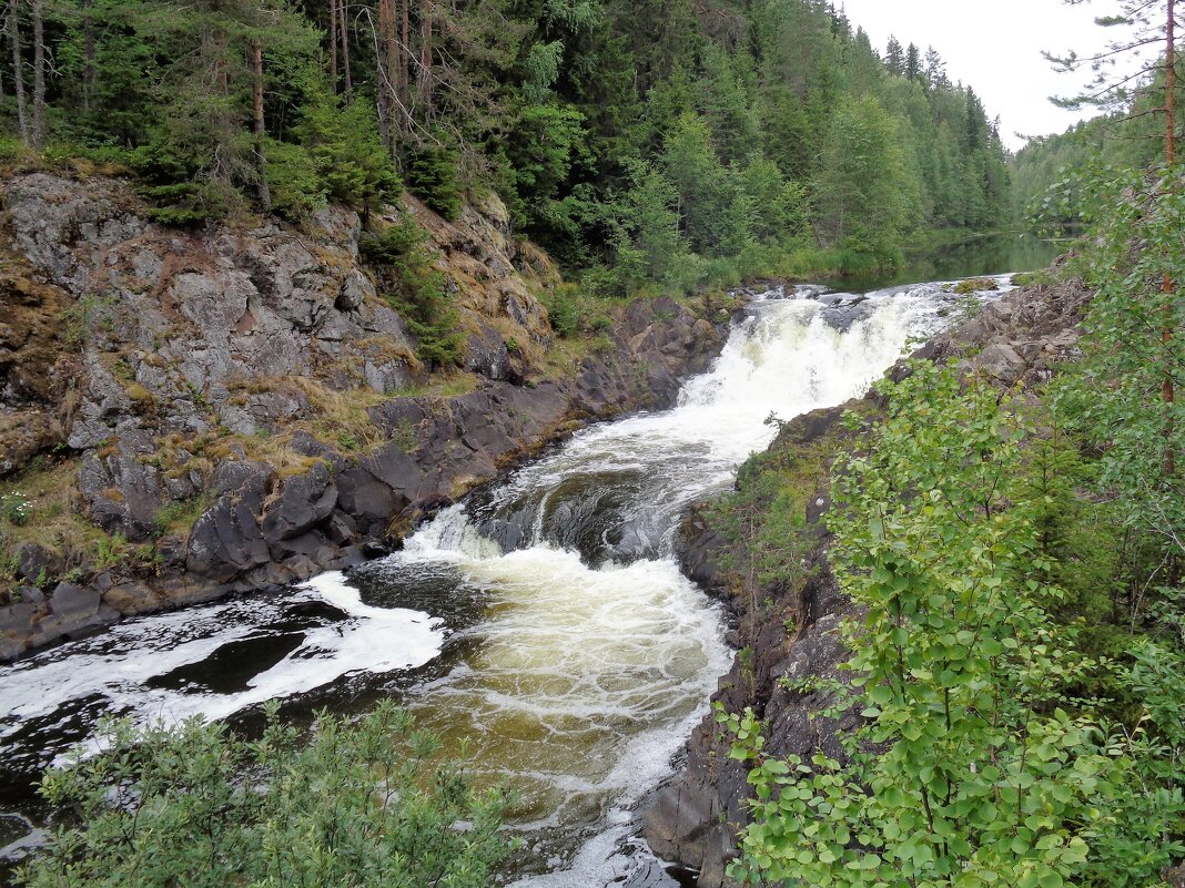 Кивач - Наталья 