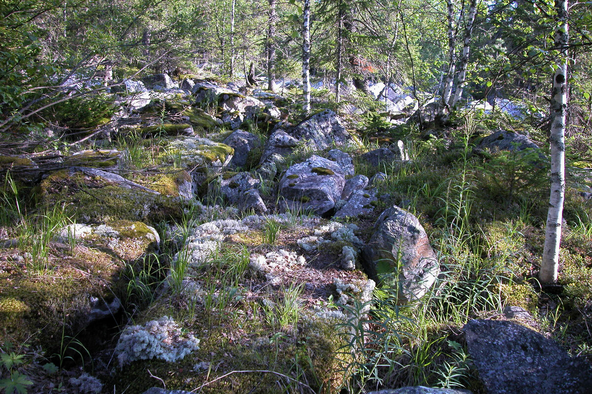 Труднопроходимые места - Наталья Лунева 