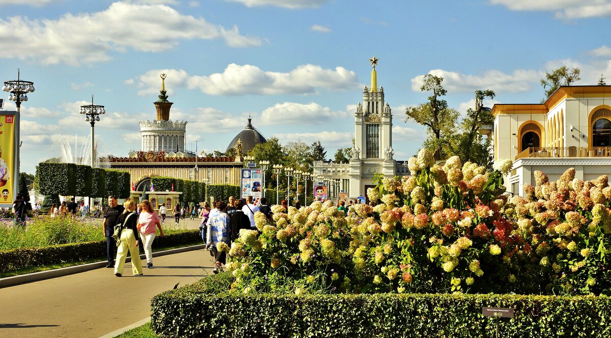 ВВЦ - АЛЕКСАНДР 