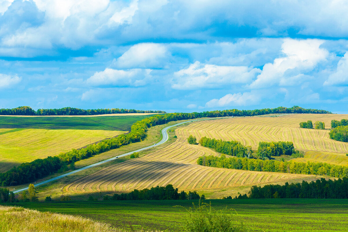 Осенние просторы - юрий Амосов