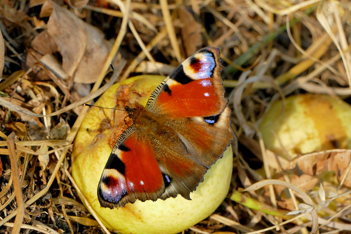 из сегодняшней съёмки 5 - Александр Прокудин