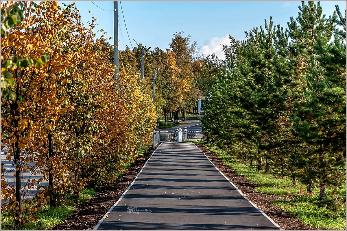 Осенняя дорожка - Aquarius - Сергей