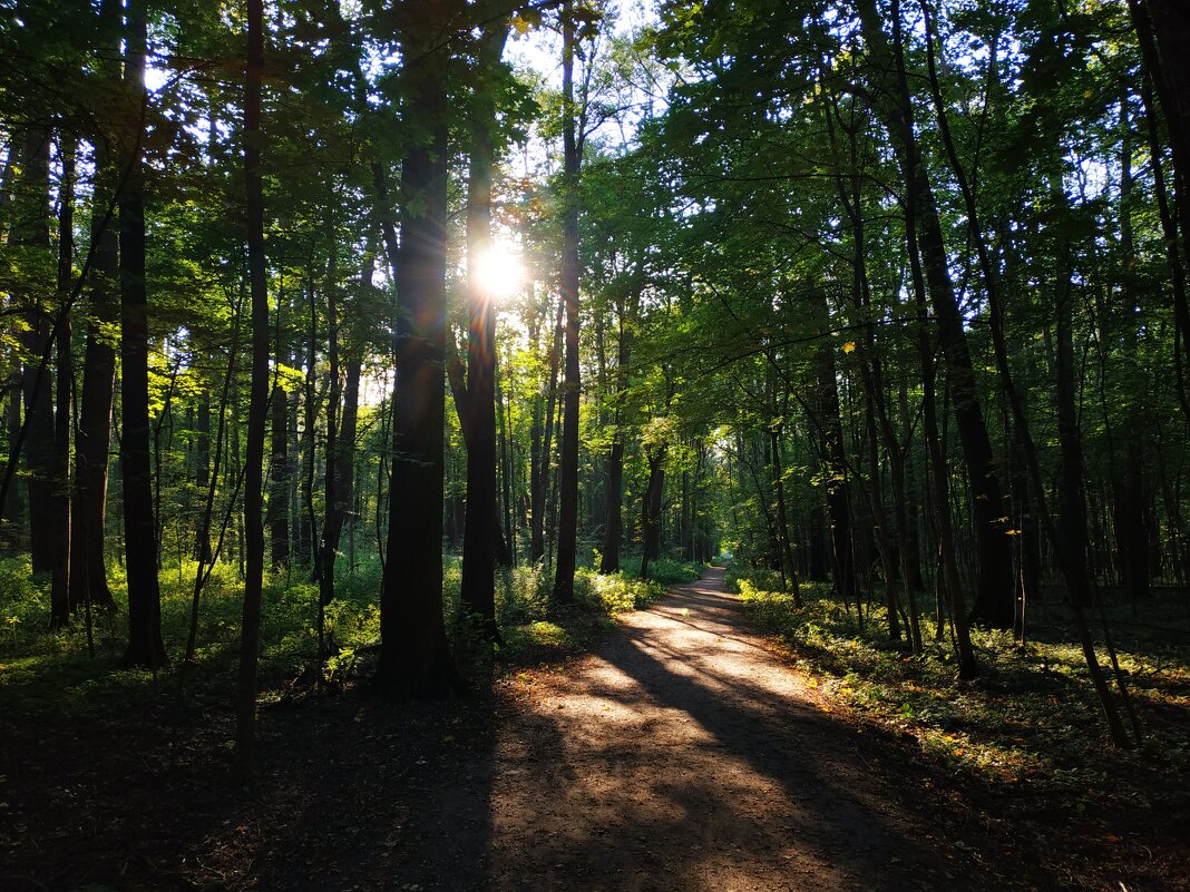 Бабье лето в Измайлово - Андрей Лукьянов
