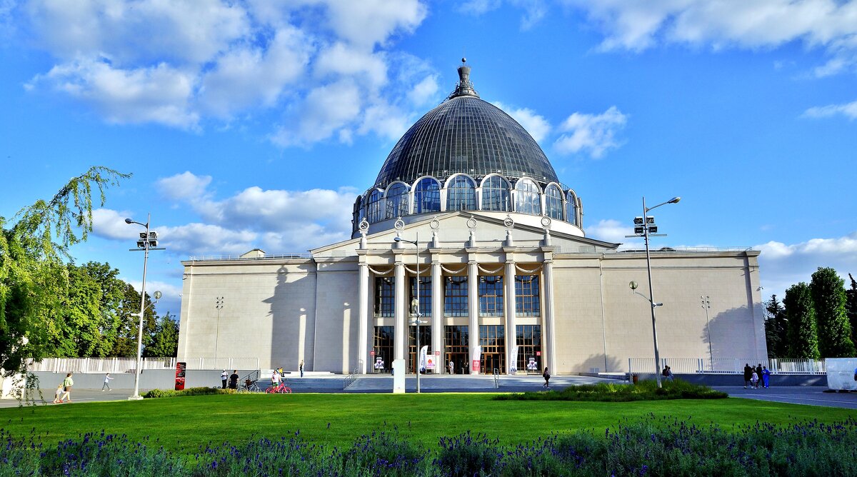 ВВЦ - АЛЕКСАНДР 