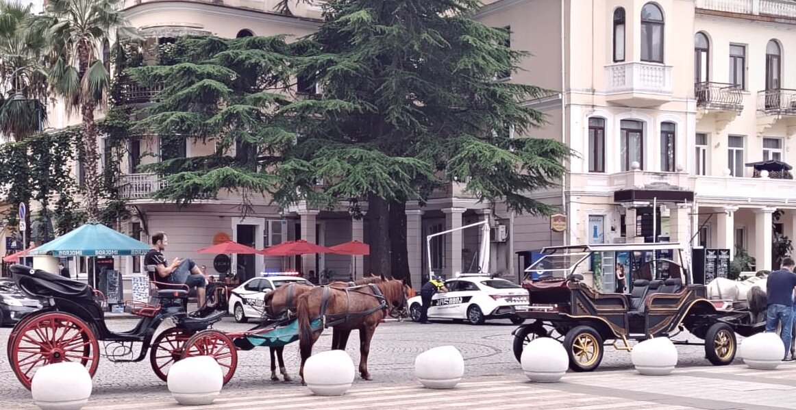 Грузия - Георгиевич 